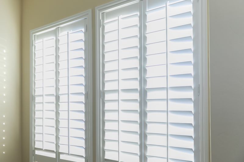 Window Shutters Painting
